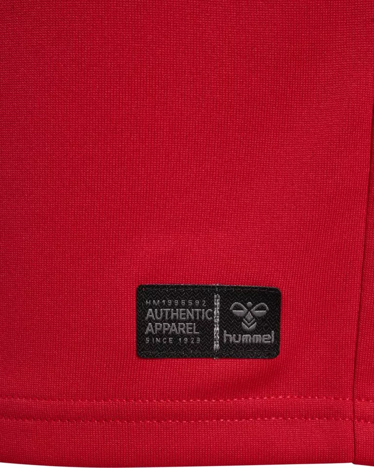 Koszulka Hummel Denmark Home 2026 Kids