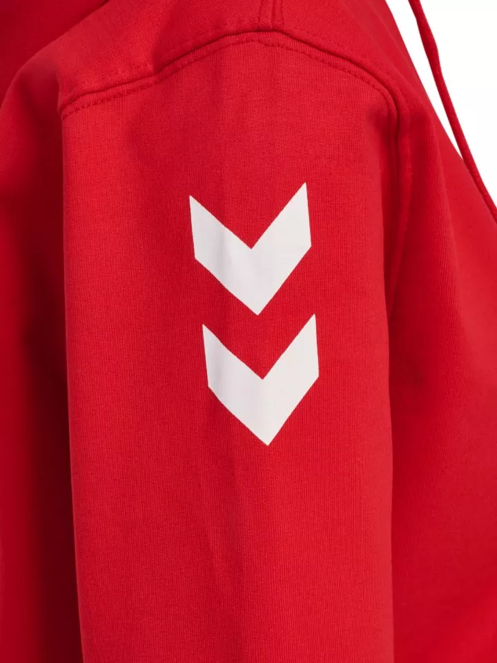 Sudadera con capucha Hummel Go 2.0 Chevron Hooded Jacket Women