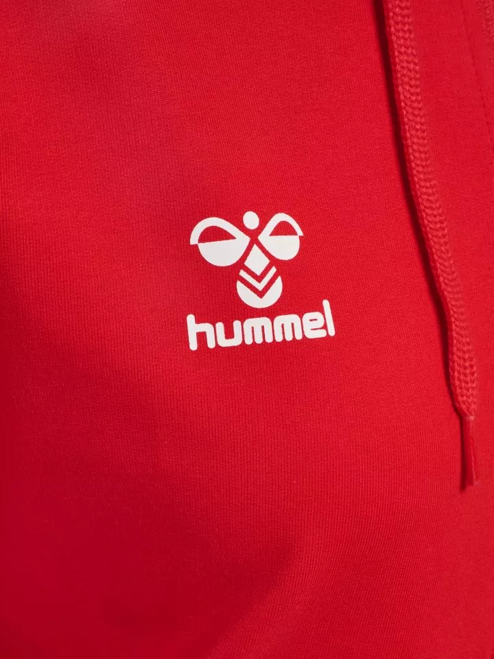 Sudadera con capucha Hummel Go 2.0 Chevron Hooded Jacket Women