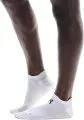 Bela