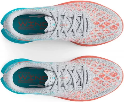Running shoes Under Armour UA W FLOW Velociti Wind 2