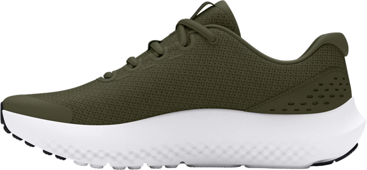 ua bgs surge rn