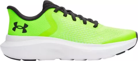UA BGS Rogue 5