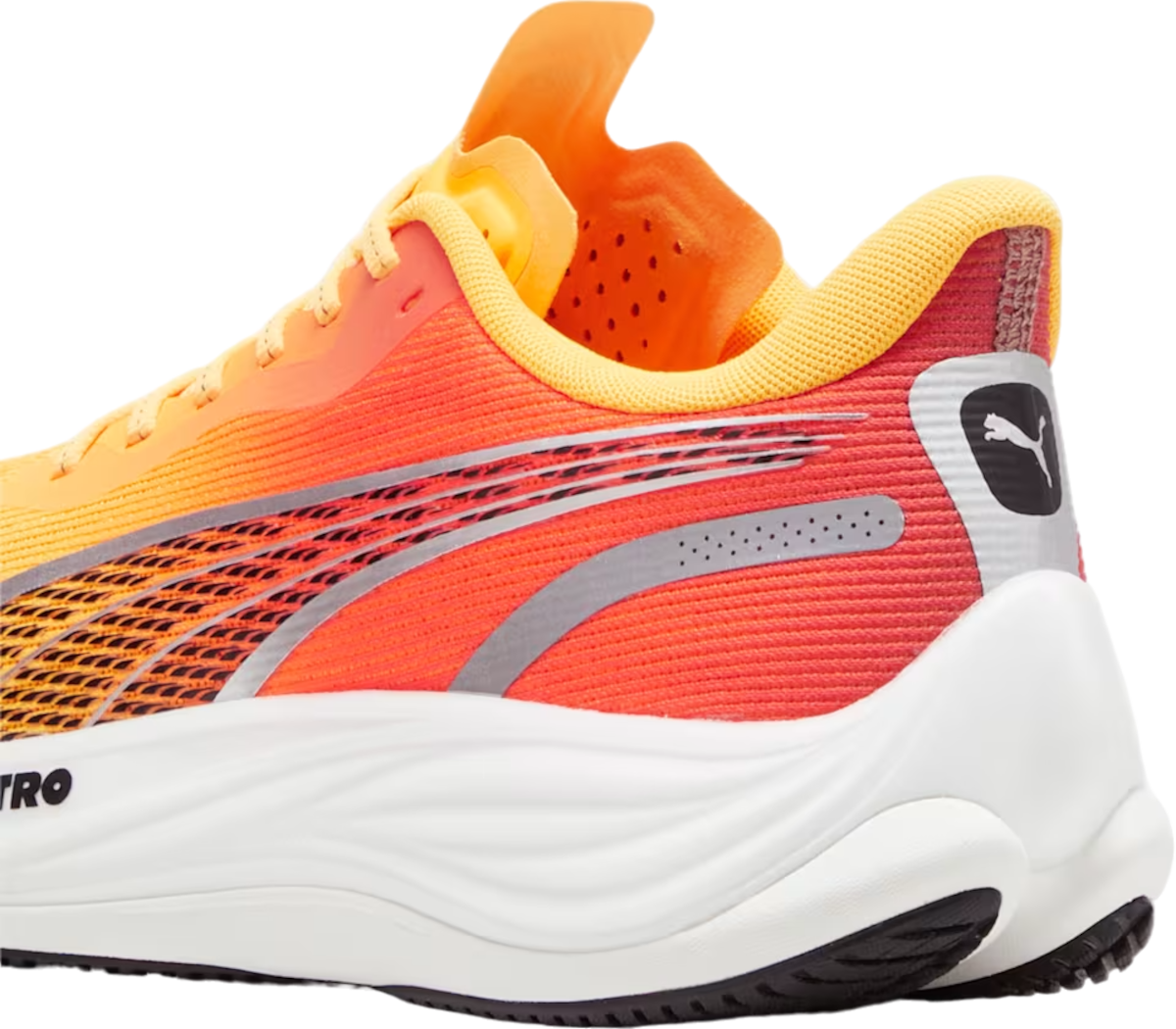 Running shoes Puma Velocity NITRO 3 FADE - Top4Running.com