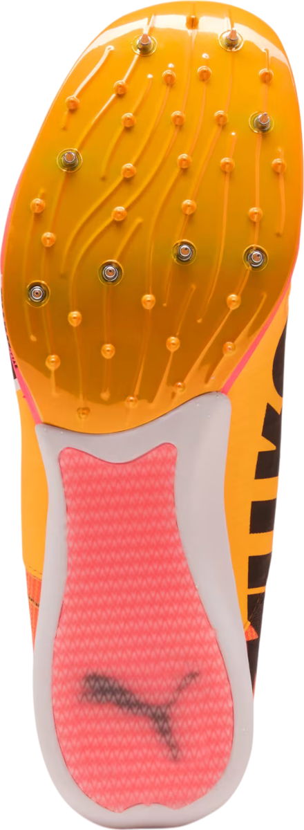 Track shoes/Spikes Puma evoSPEED Triple Jump Nitro Elite 2