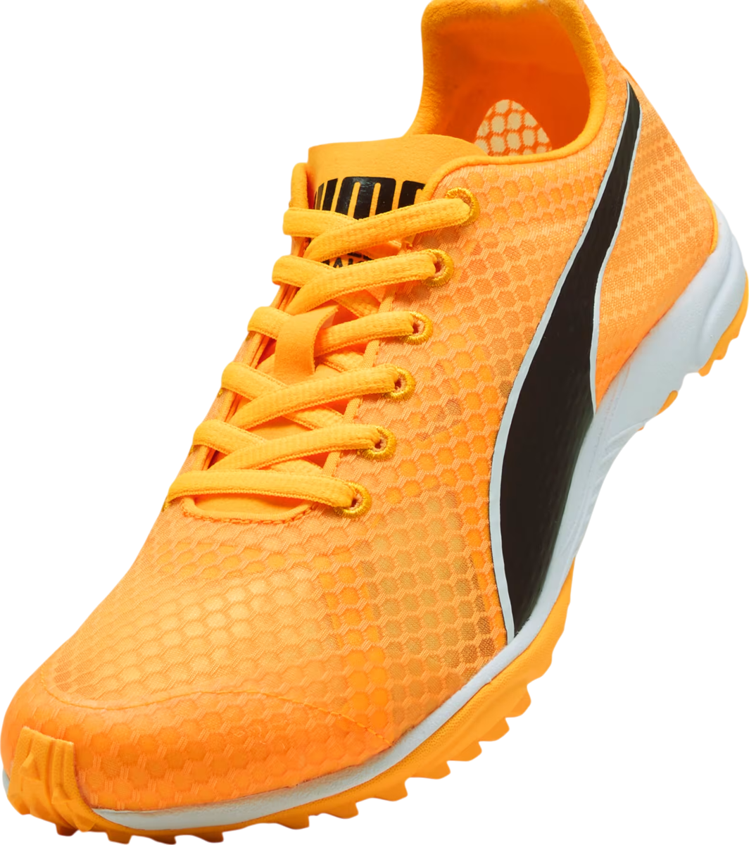 Track shoes/Spikes Puma evoSPEED Haraka 8 Spikeless - Top4Running.com