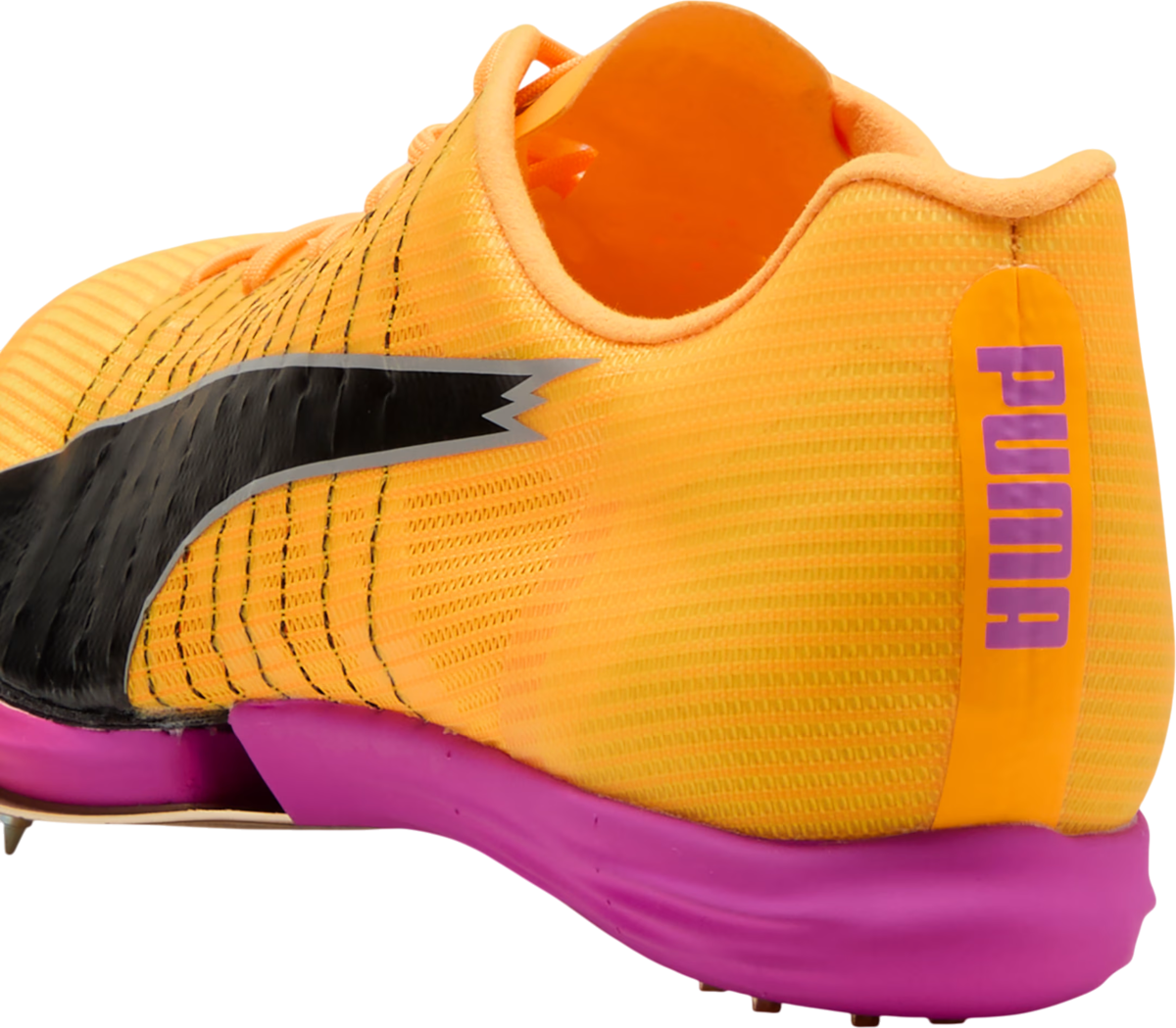 Track shoes/Spikes Puma evoSPEED Forte Nitro Elite - Top4Running.com