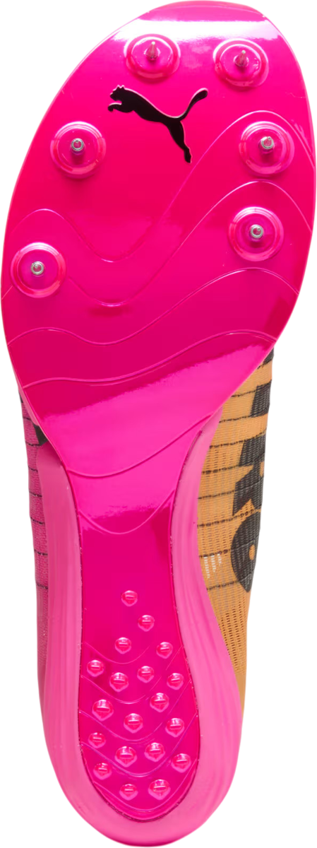 Track shoes/Spikes Puma evoSPEED Forte Nitro Elite - Top4Running.com
