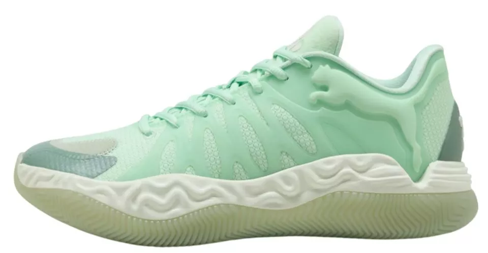 Buty do koszykówki Puma Hali 1