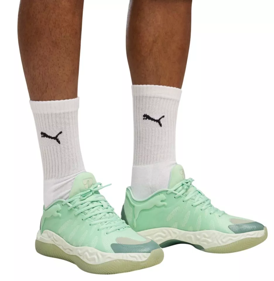 Buty do koszykówki Puma Hali 1