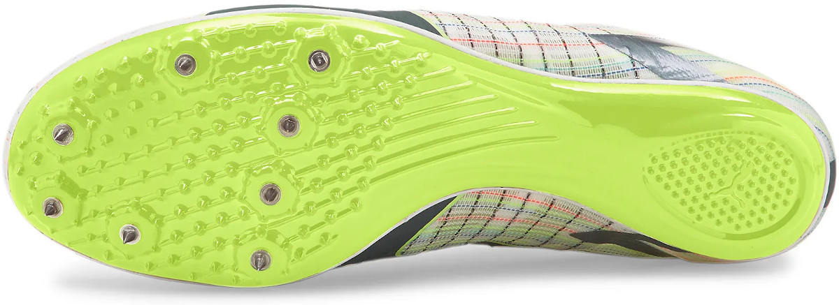 Amazon.com: PUMA Evospeed Tokyo Brush 4 Running Spikes