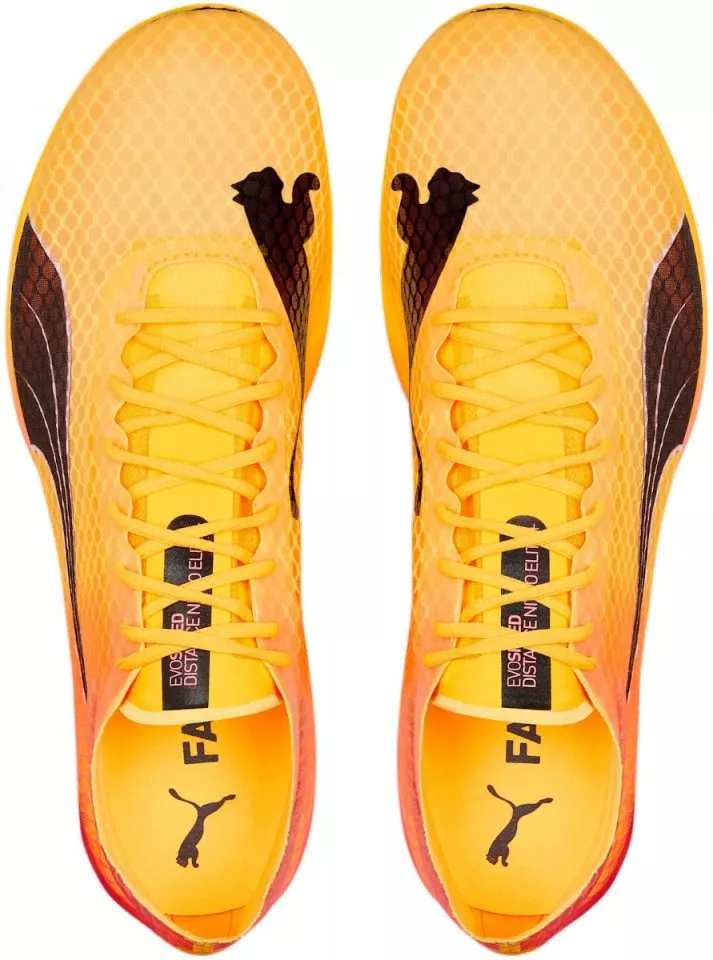 Track schoenen/Spikes Puma evoSPEED Distance Nitro Elite