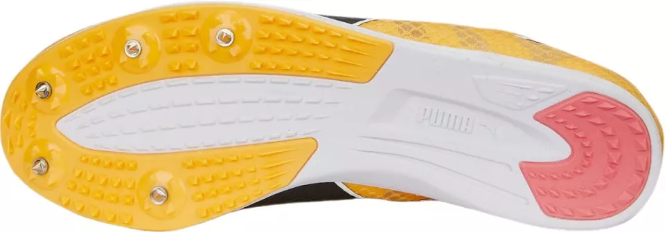 Track schoenen/Spikes Puma evoSPEED Distance 11