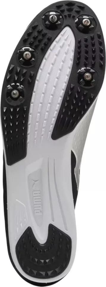Ratakengät/Piikkarit Puma evoSPEED Distance 11
