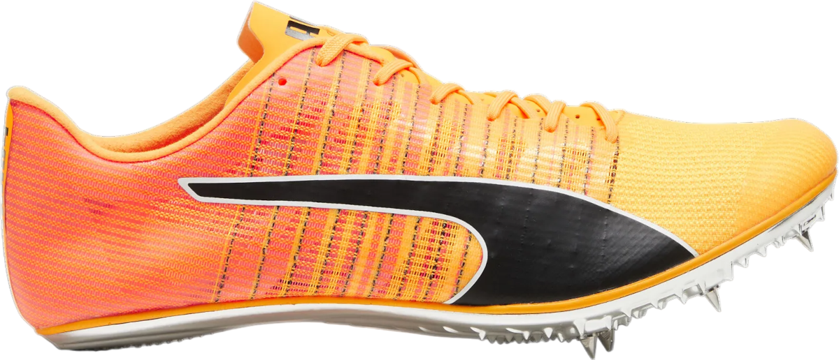 Track shoes/Spikes Puma evoSPEED BRUSH 6