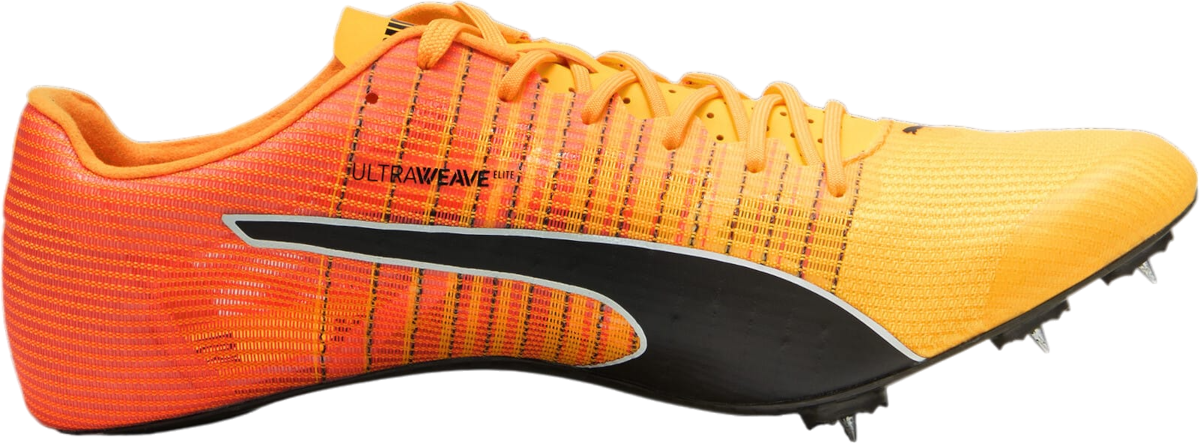 LOOP tackle evotec G4#8-10(2019年購入) LOOP tackle evotec G4#8-10(2019年購入)