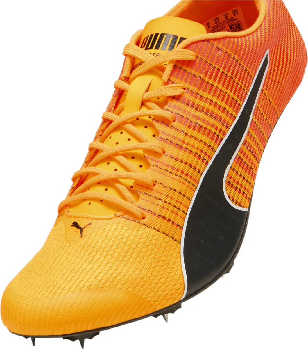 Track shoes/Spikes Puma evoSPEED Future Faster+ 4 - Top4Running.com