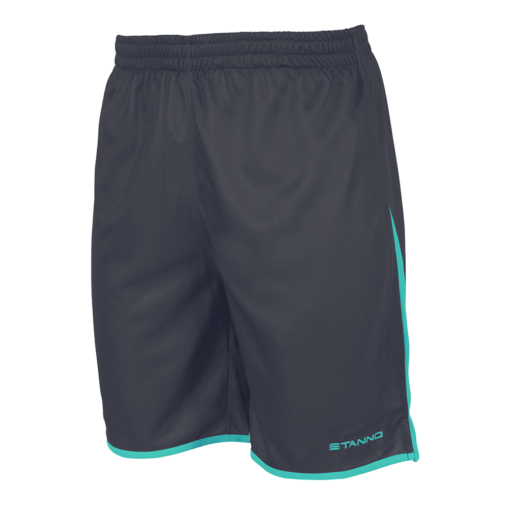 Шорти Stanno Altius Shorts