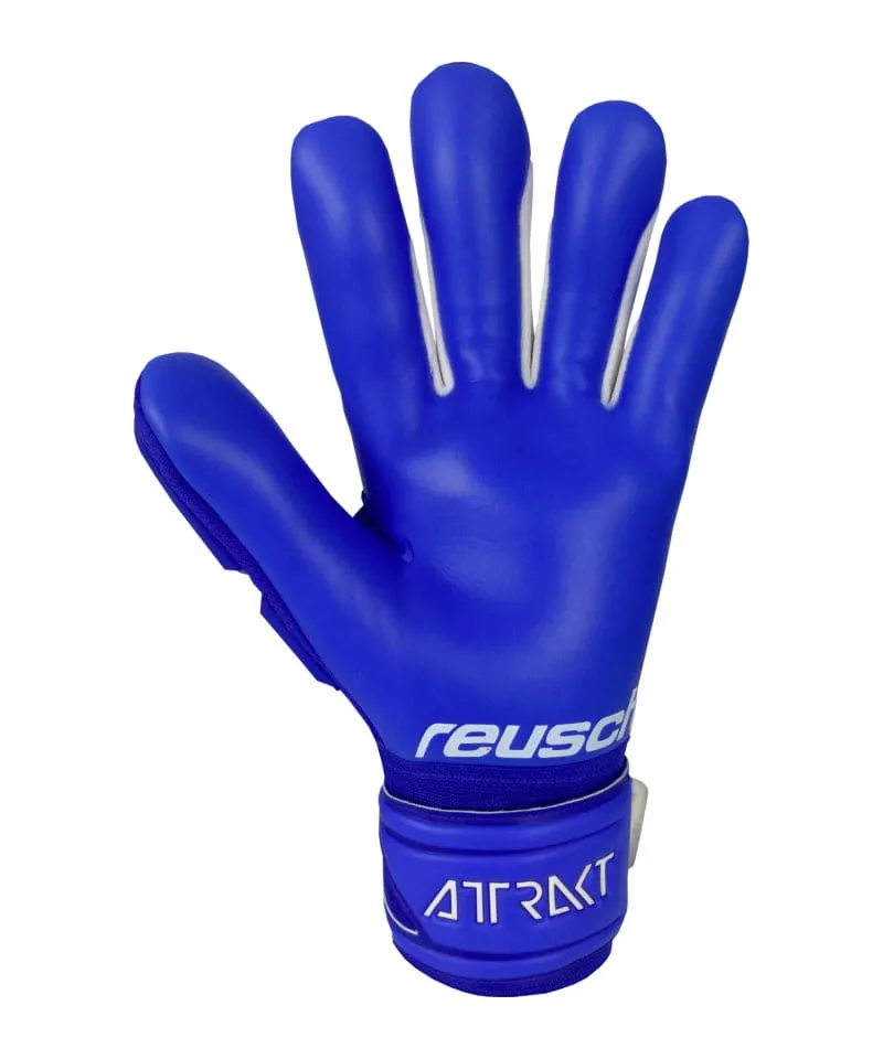 Goalkeeper's gloves Reusch Attrakt Freegel TW