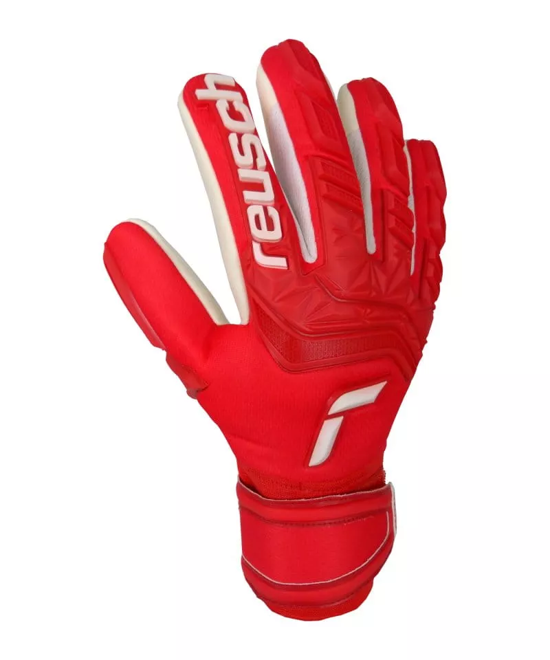 Brankářské rukavice Reusch Attrakt Freegel TW