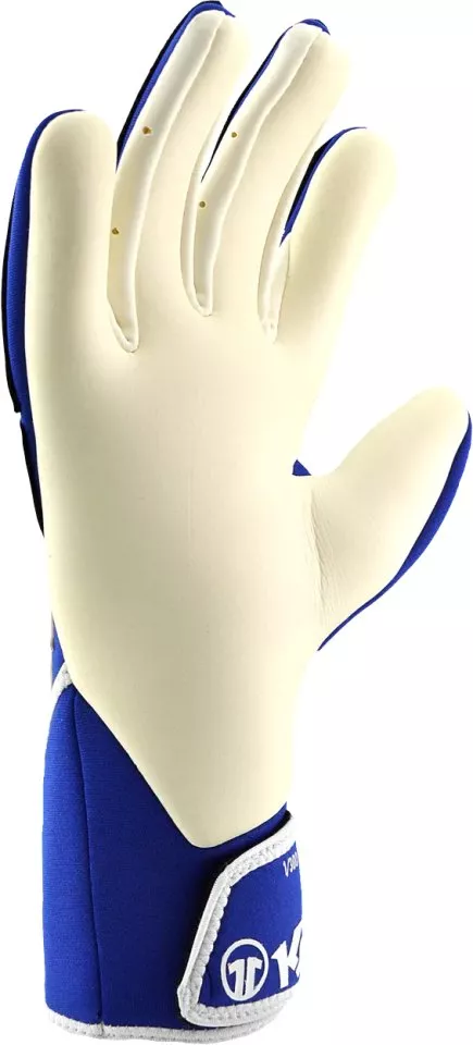 Brankářské rukavice Reusch Legacy 2000