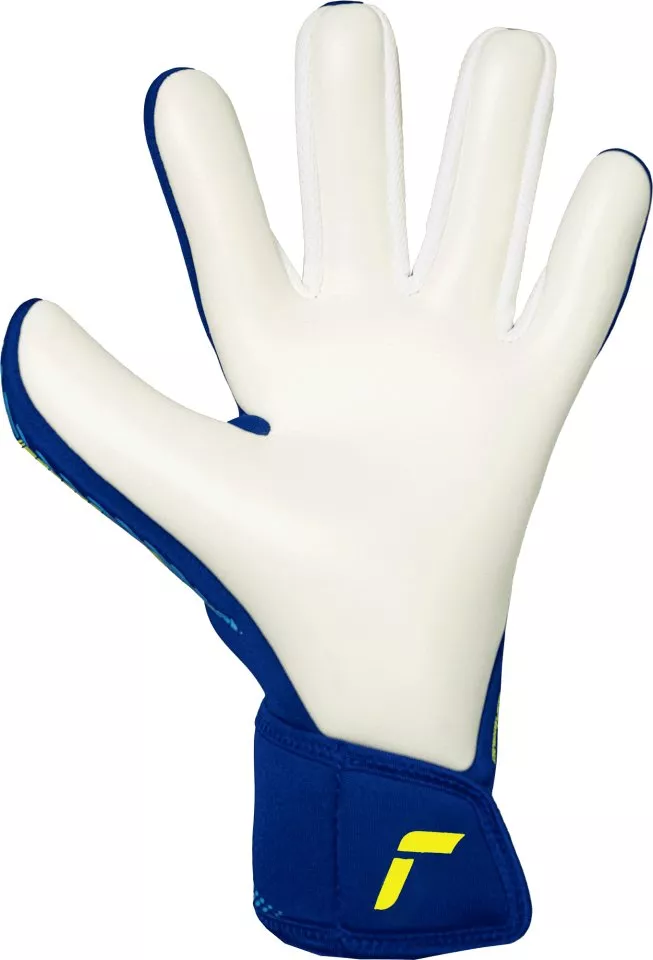 Reusch Fastgrip Advance Goalkeeper Gloves Kapuskesztyű