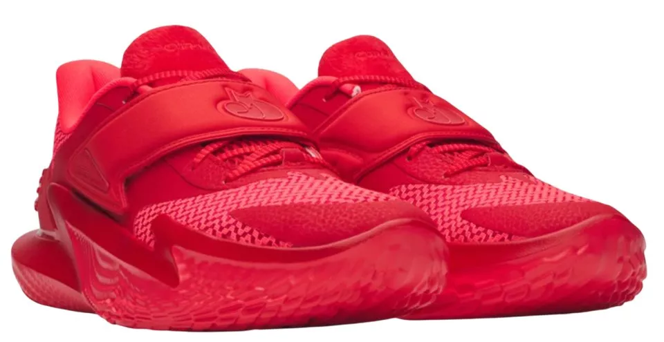 Buty do koszykówki Under Armour D. Fox 2