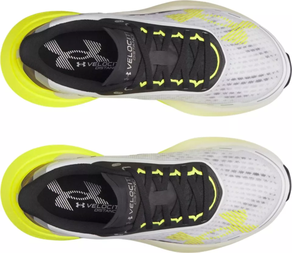 Laufschuhe Under Armour Velociti Distance
