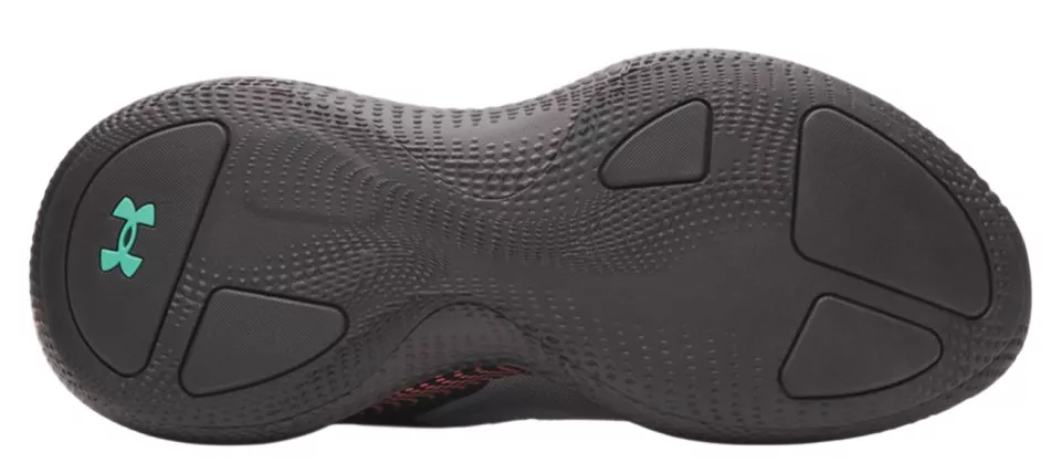 Schuhe Under Armour Echo SlipSpeed