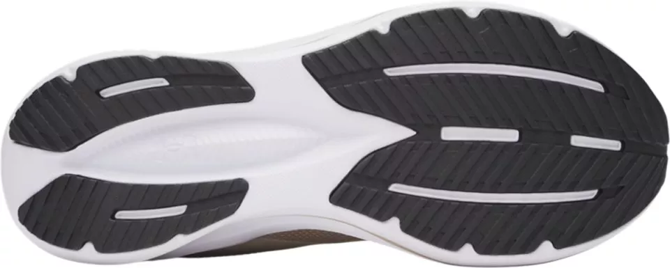 Laufschuhe Under Armour Assert 11