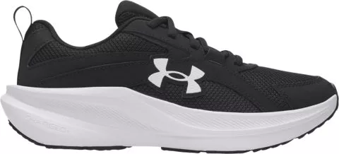 UA BGS Assert 11