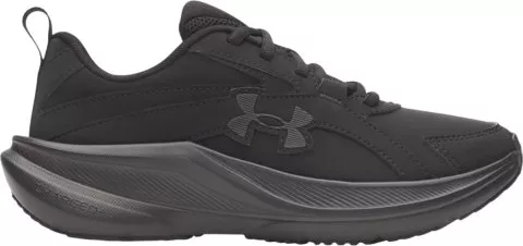 UA BGS Assert 11 UFM SYN