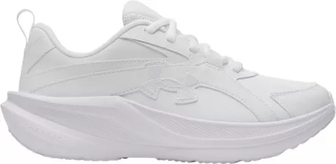 UA BGS Assert 11 UFM SYN