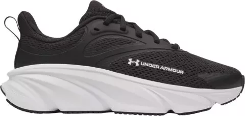 UA BGS Rogue 6