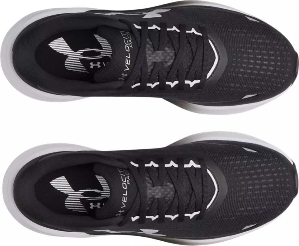 Laufschuhe Under Armour Velociti Pace