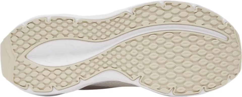 Laufschuhe Under Armour Ascend