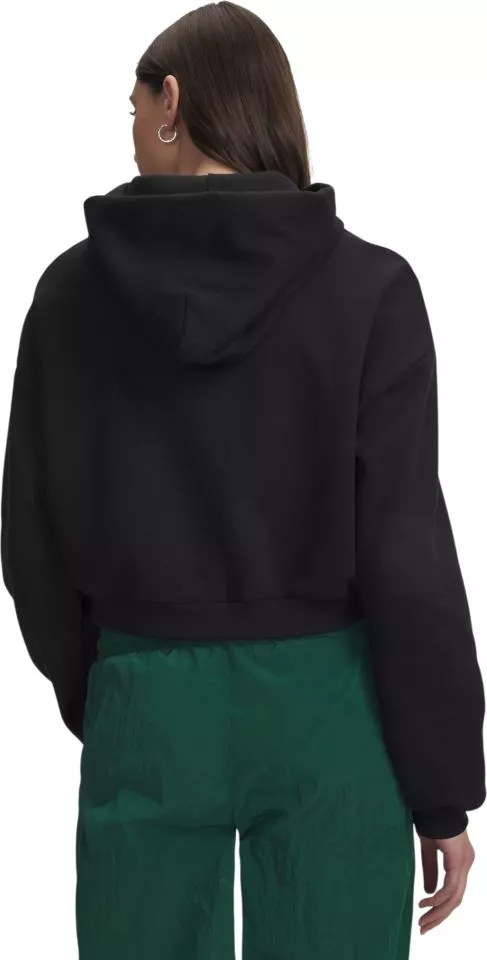 Felpe con cappuccio Under Armour Icon Fleece Wordmark Full-Zip