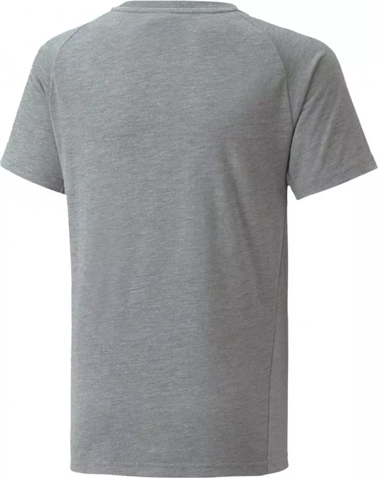 Tričko Puma NJR Evostripe T-Shirt Grau F05