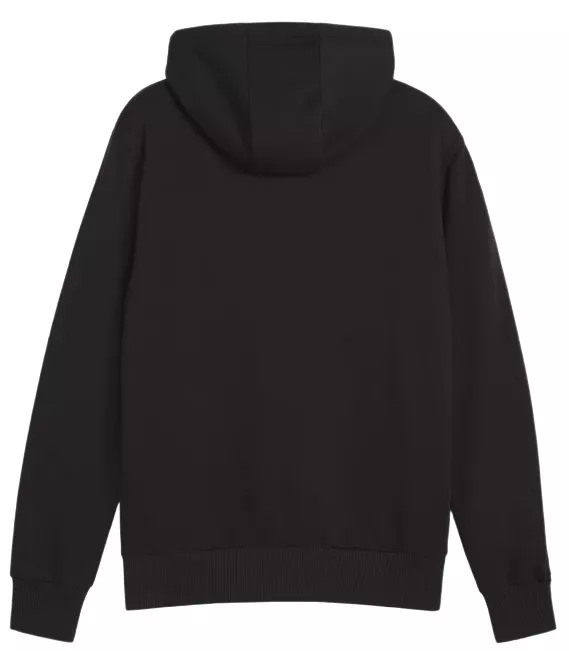 Puma Graphic Booster Hoodie