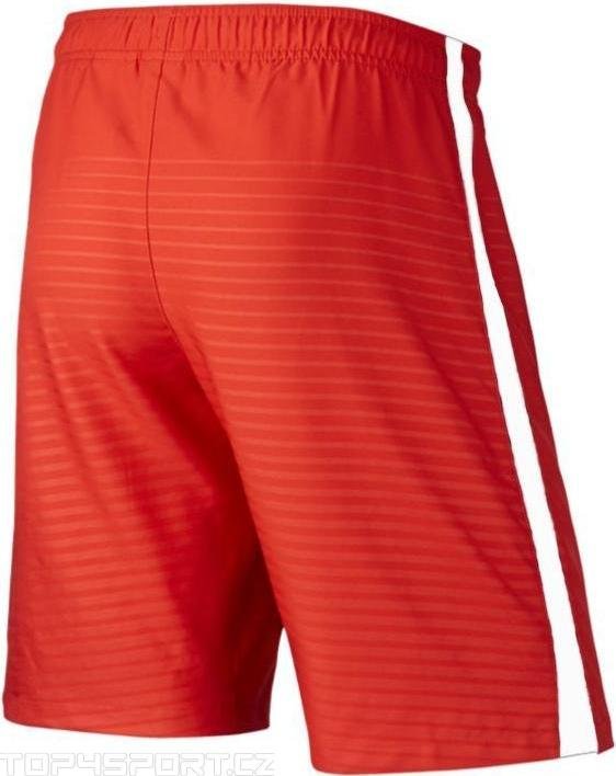 Nike Max Graphic Shorts No Brief Top4Running