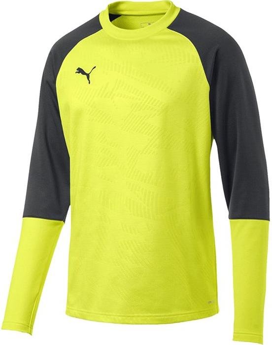 Sweatshirt Puma cup training core