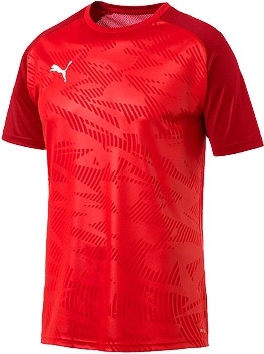 Puma cup best sale training jersey core