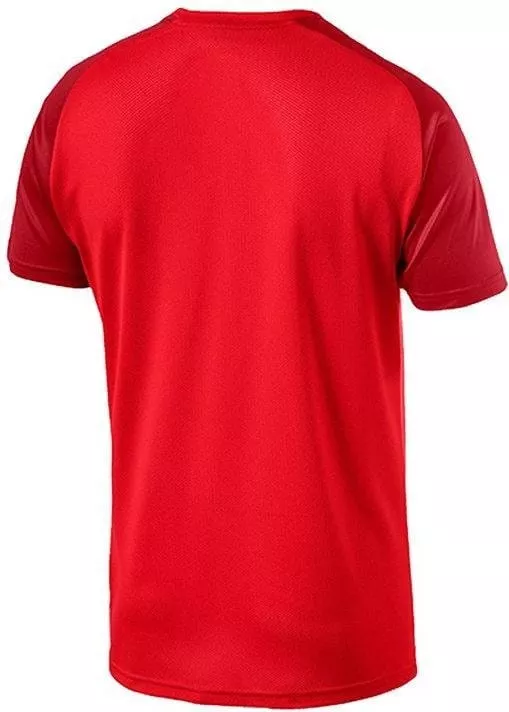 Puma CUP Training Jersey Core Póló