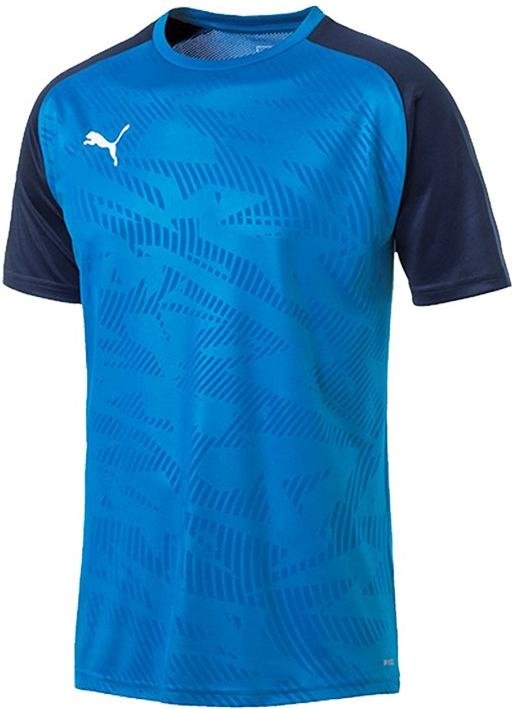 Camiseta Puma CUP Training Jersey Core