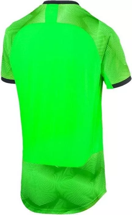 Camiseta Puma ftblnxt graphic