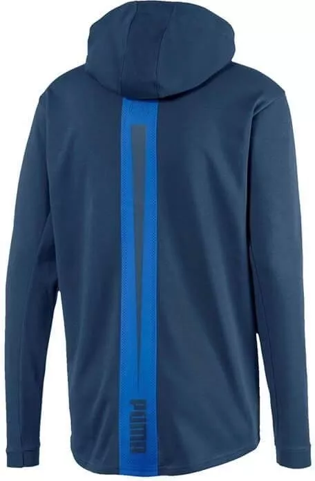 Hoodie Puma ftblNXT Casuals Hoody