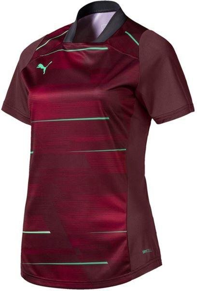 Puma ftblnxt graphic shirt dunkel Rövid ujjú póló