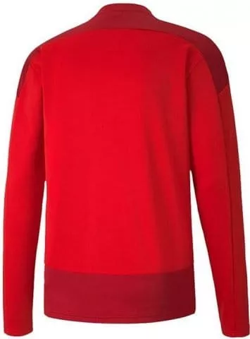 Sweatshirt Puma teamGOAL 23 Training Sweat