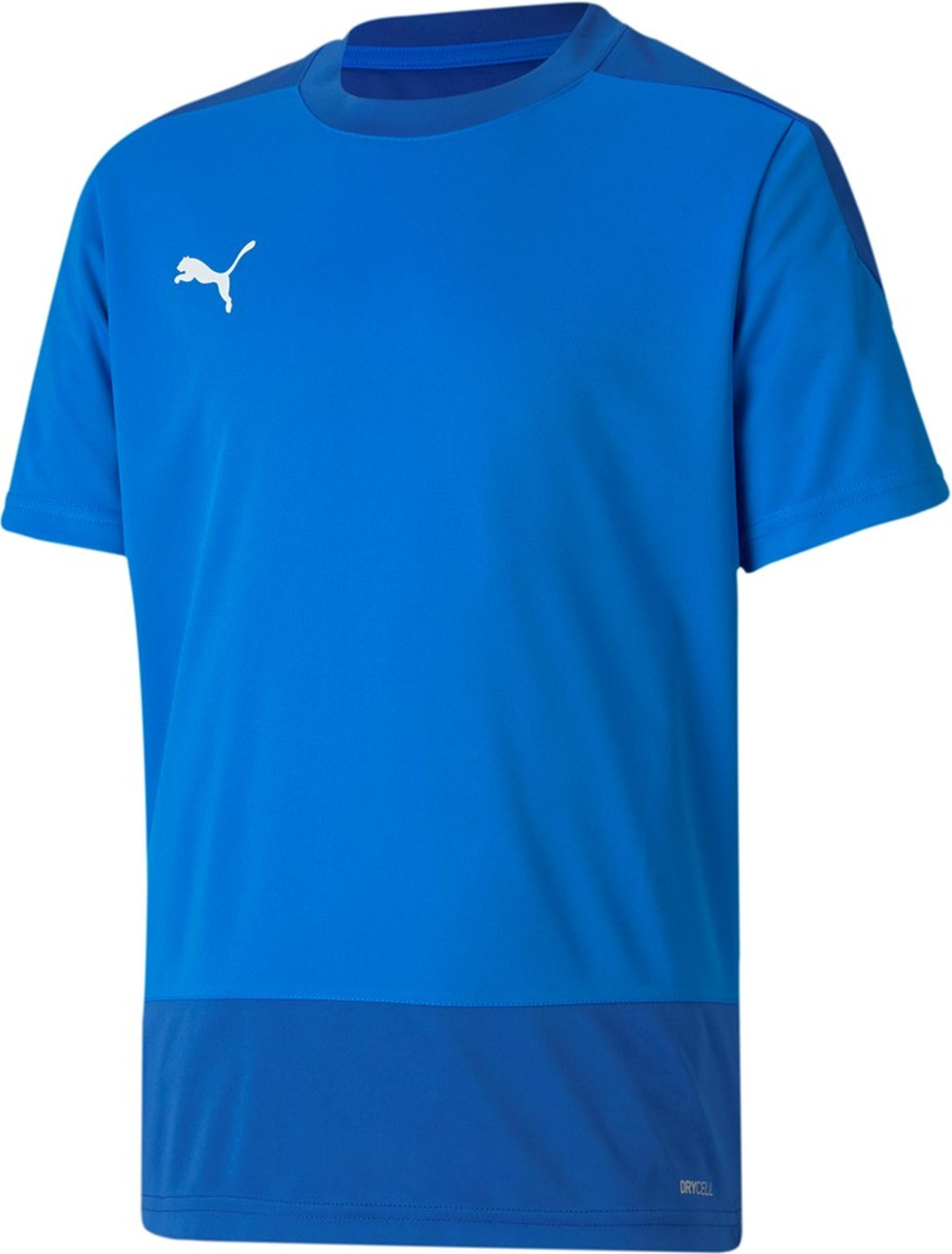 Pánský dres s krátkým rukávem Puma teamGOAL 23 Training