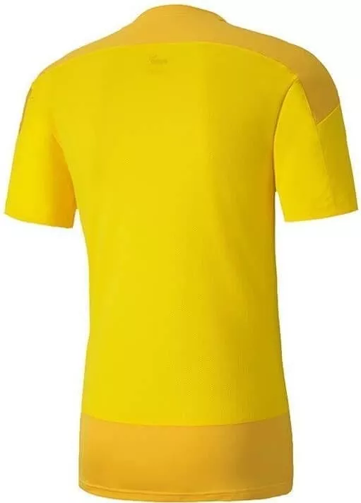 Pánský dres s krátkým rukávem Puma teamGOAL 23 Training